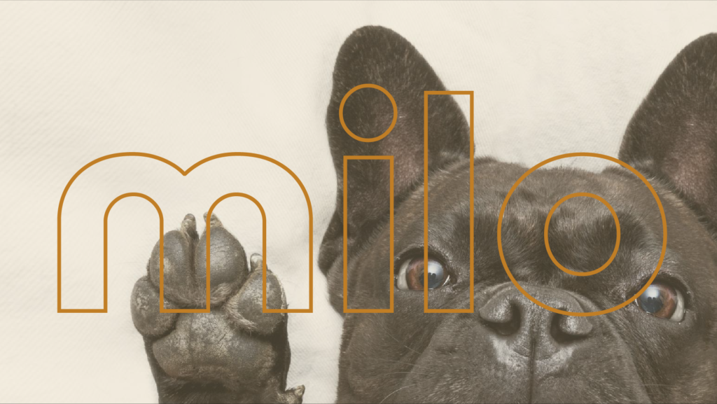 entête de portfolio pour le projet milo