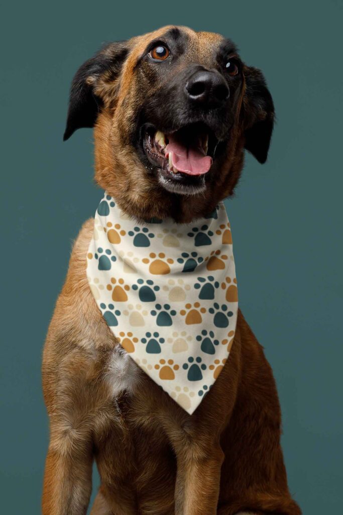 Chien portant le foulard de milo